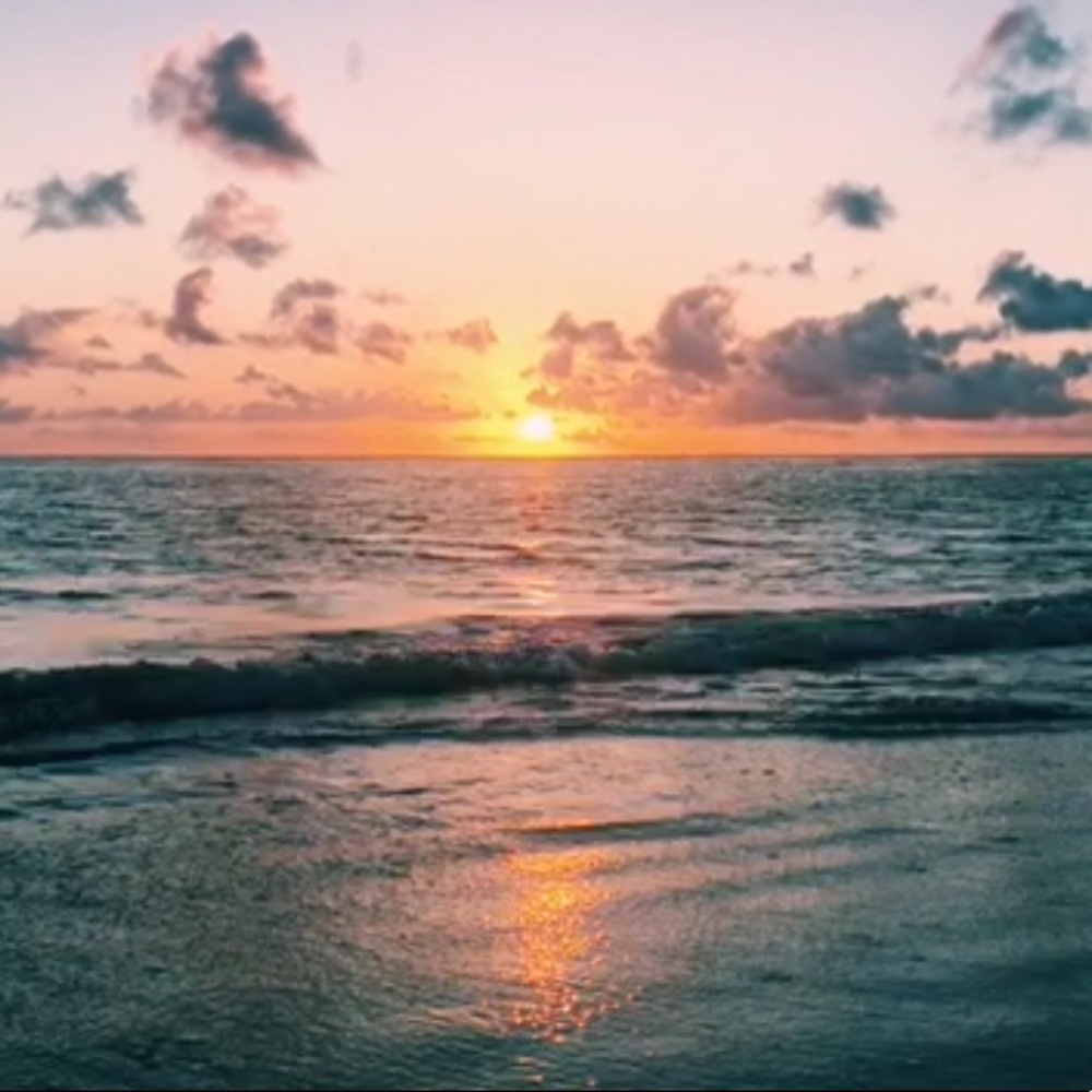 Meet your Posher, Spencer